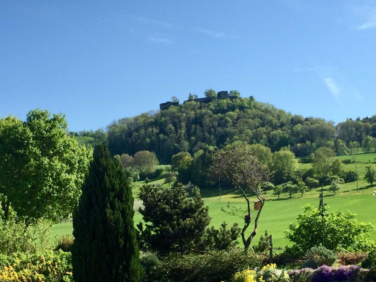 Hegau-Lounge-Bodensee Muhlhausen-Ehingen Exteriér fotografie